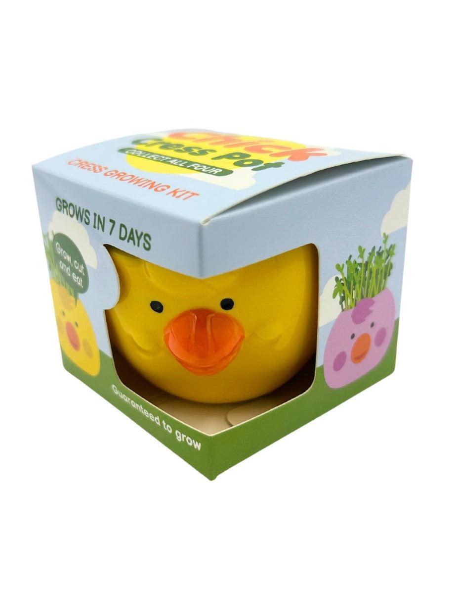 Easter Cress Chick - Assorted Colours