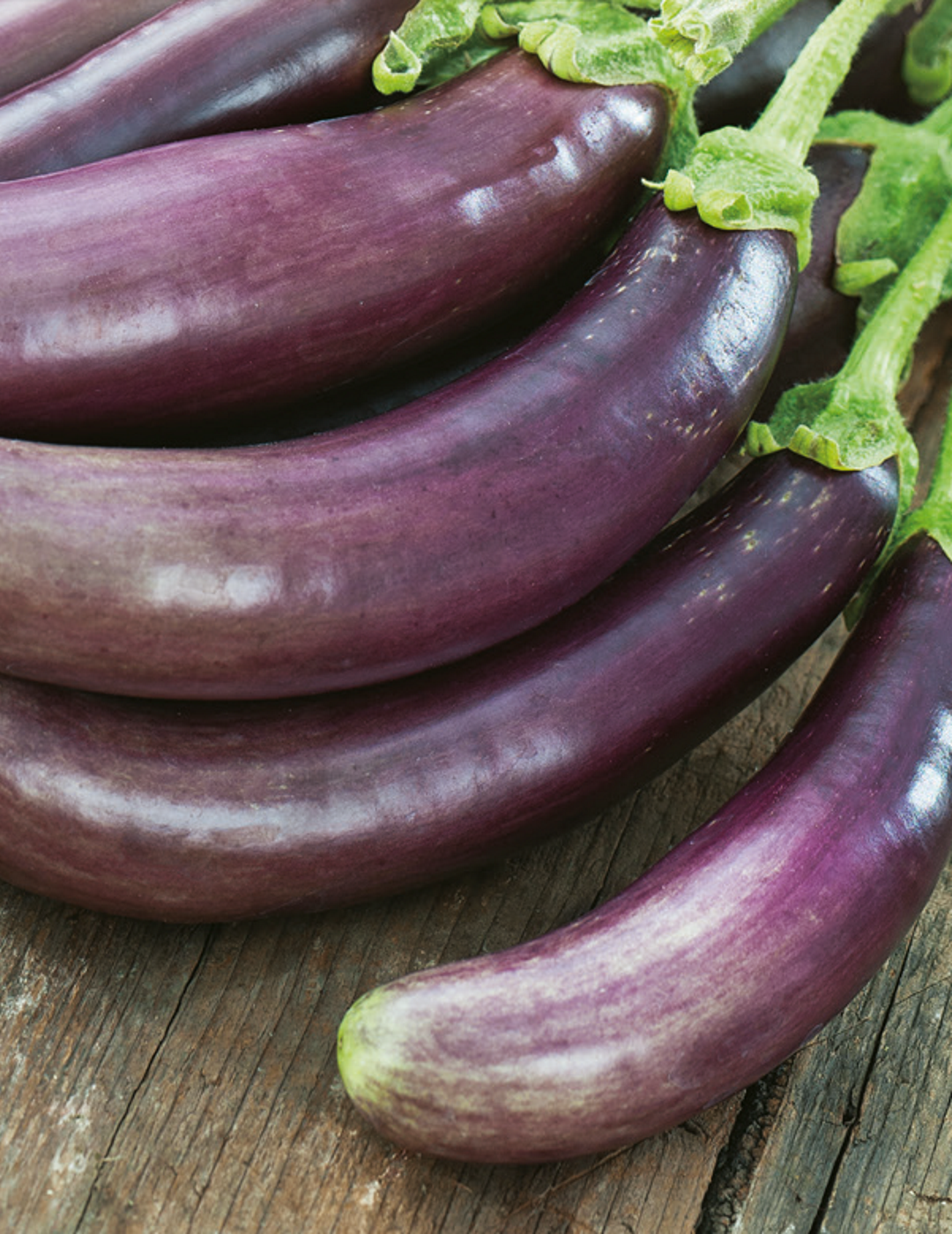 Eggplant Little Fingers