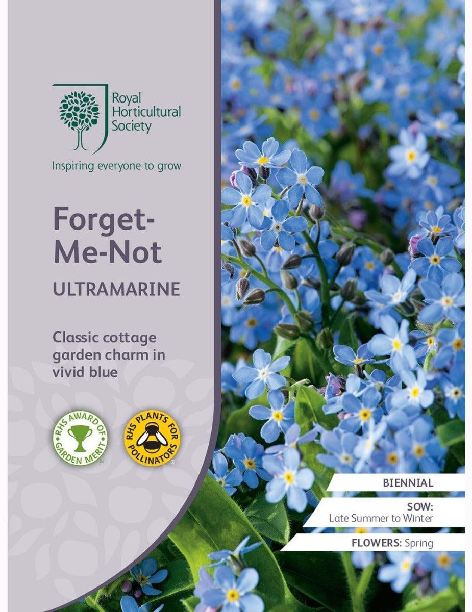 Forget-Me-Not Ultramarine