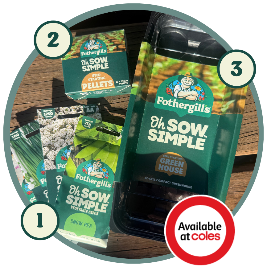 Image shows the entire starter range of Oh Sow Simple, from Mr Fothergill's. It includes seeds, propagation items, and a mini greenhouse.