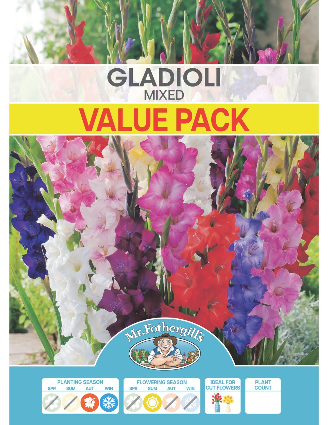 Gladioli Mixed Value Pack (Winter Season)