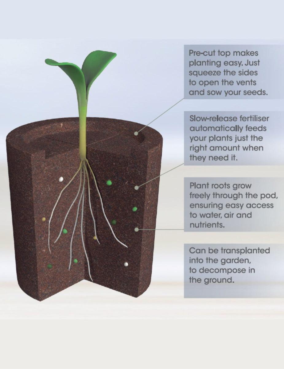 HYDROvase