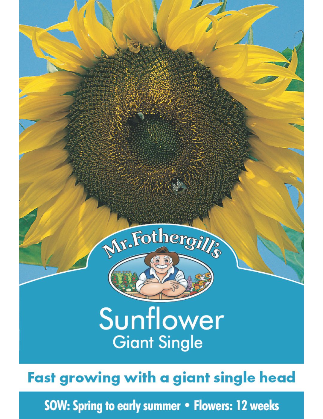 Mini Sachet - Giant Sunflower 50 Pack