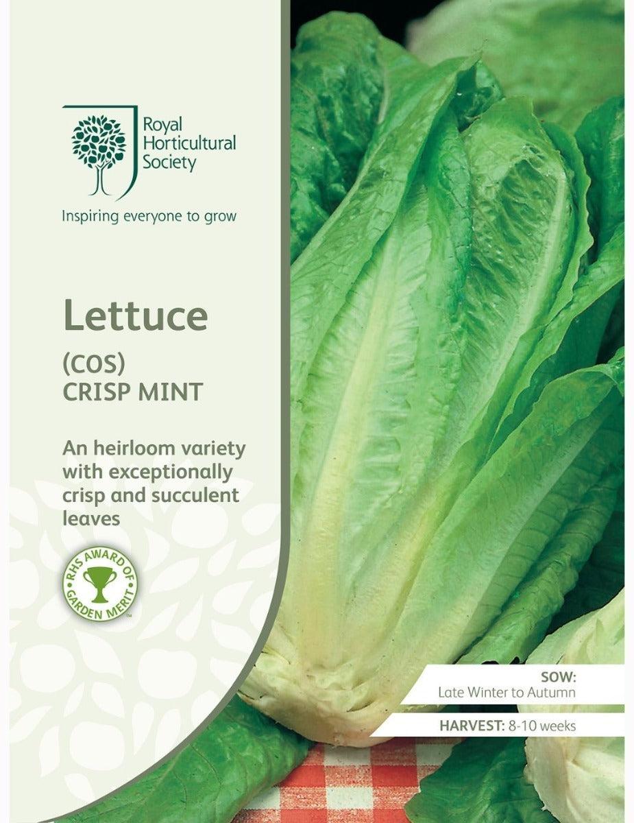 RHS Cos Crisp Mint Lettuce