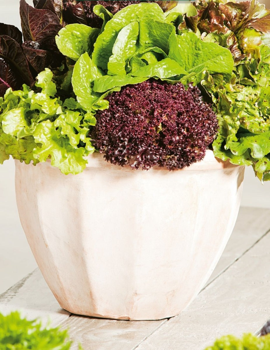 Lettuce Gourmet Mixed