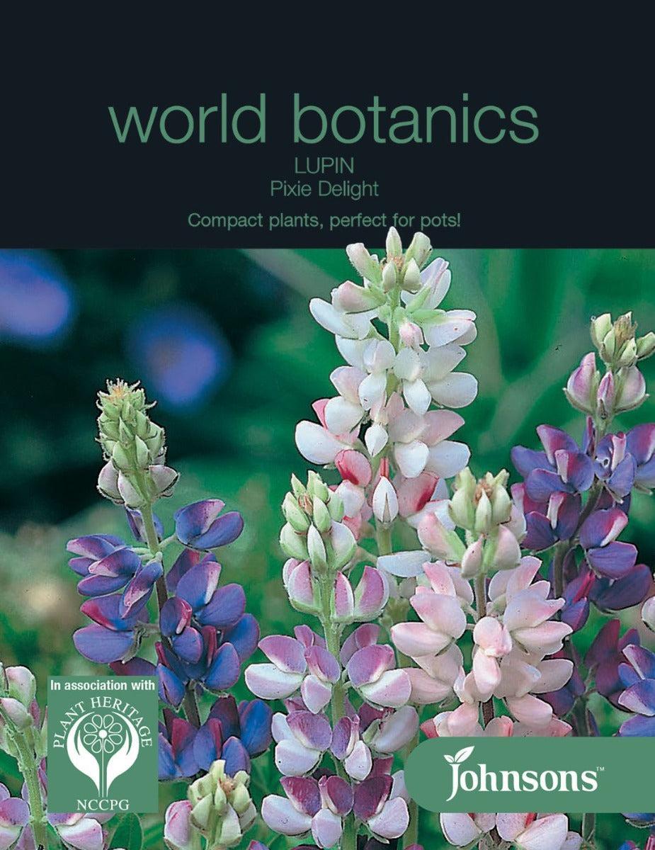 Lupin Pixie Delight - NOT AVAILABLE TO TAS