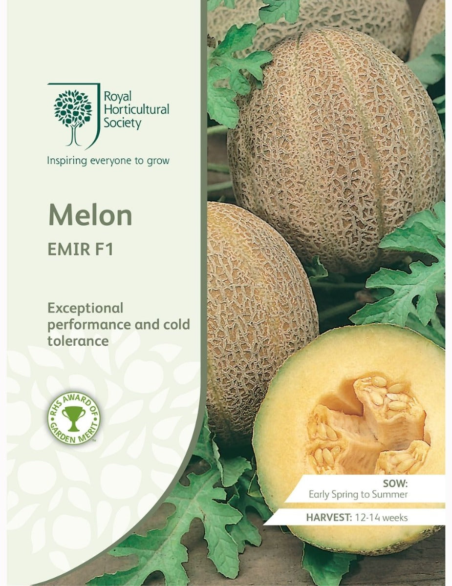 Melon Emir F1