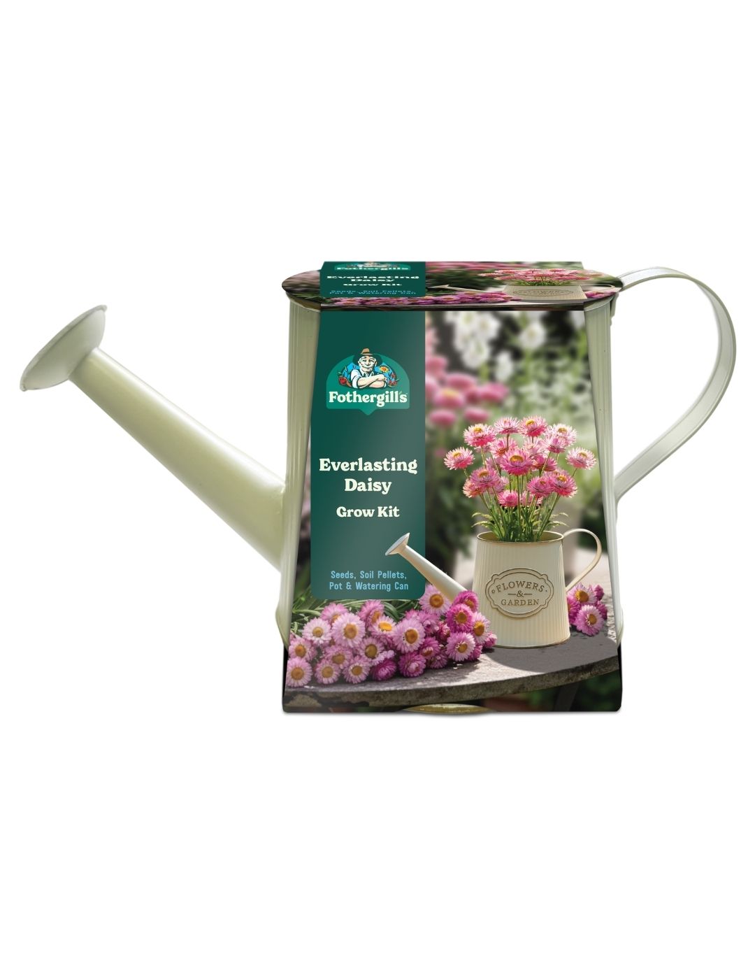 Watering Can Grow Kit - Everlasting Daisies