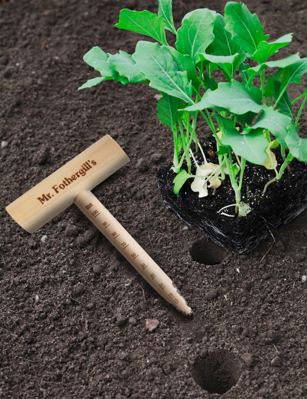 Wooden Seed Sowing Dibber Stick