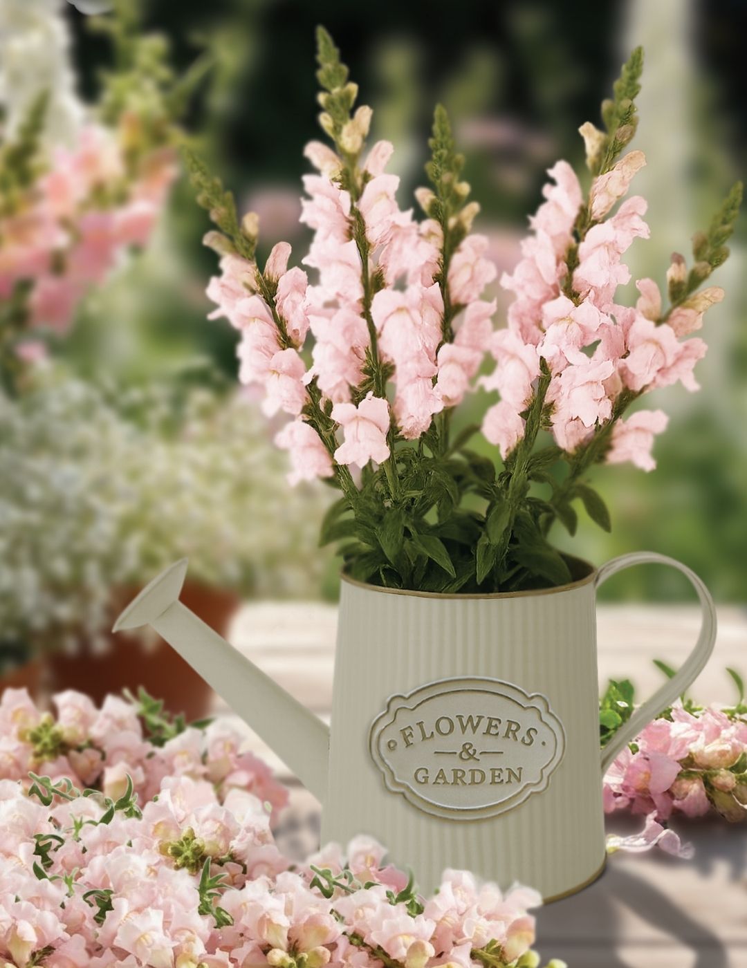 Watering Can Grow Kit - Snapdragon Pink