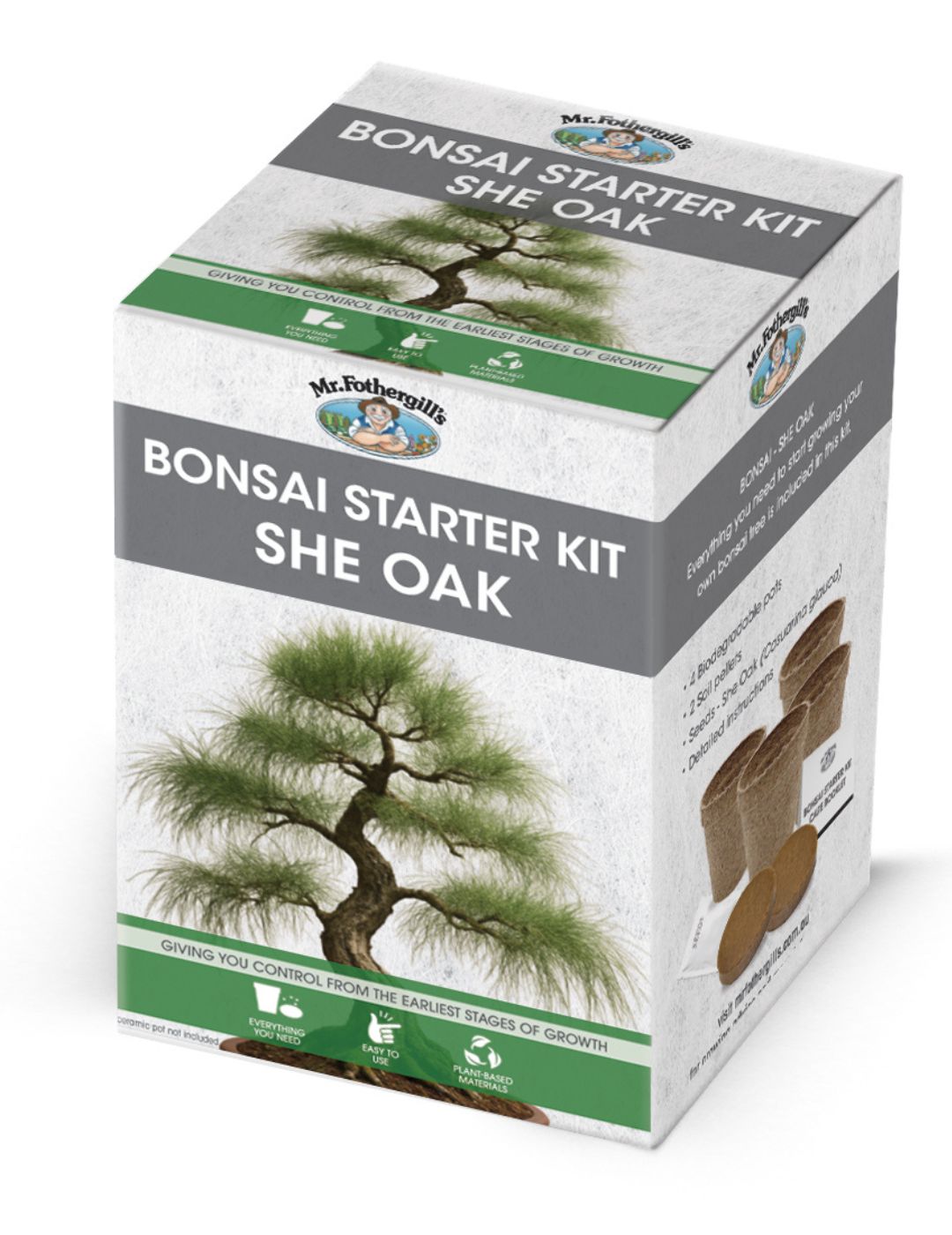 Bonsai Starter Kit - She Oak
