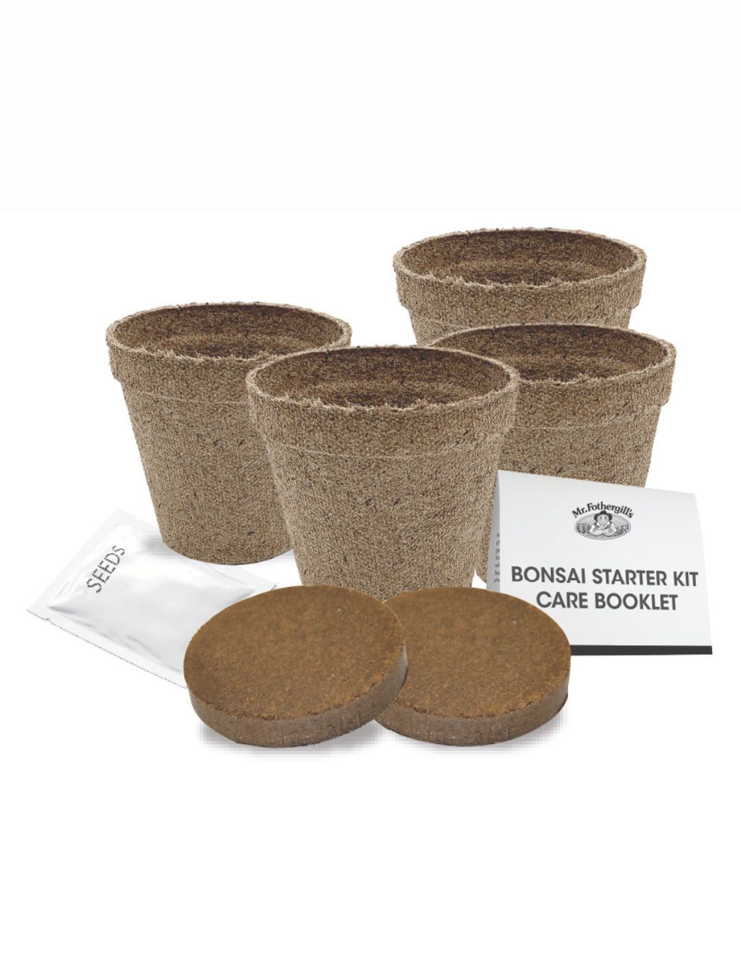 Bonsai Starter Kit - She Oak
