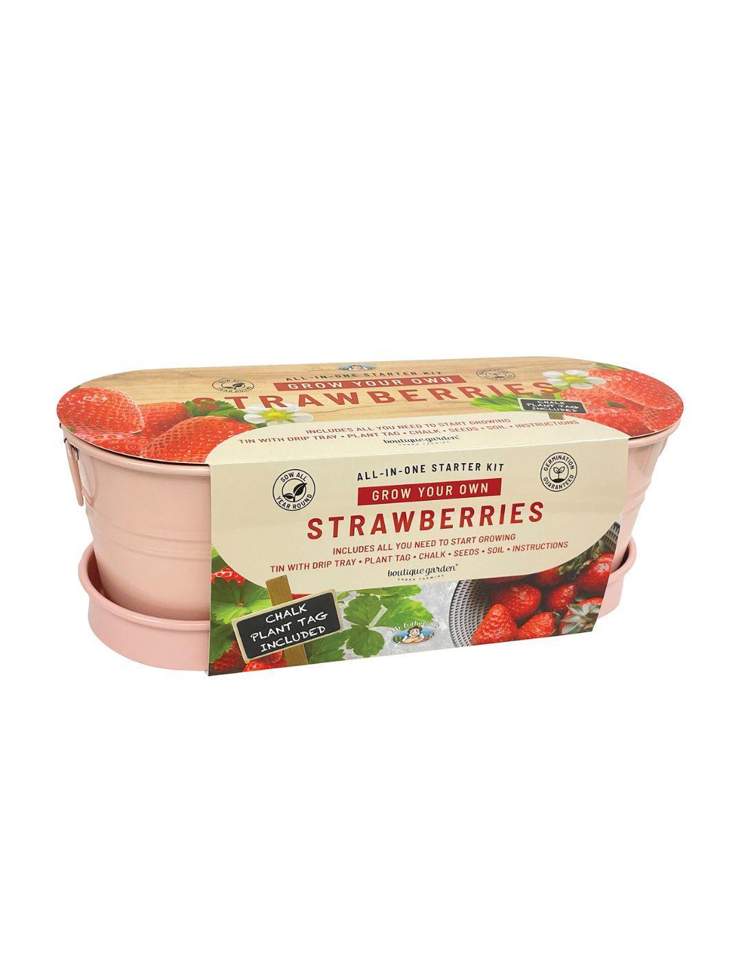 Strawberry - Windowsill Tin