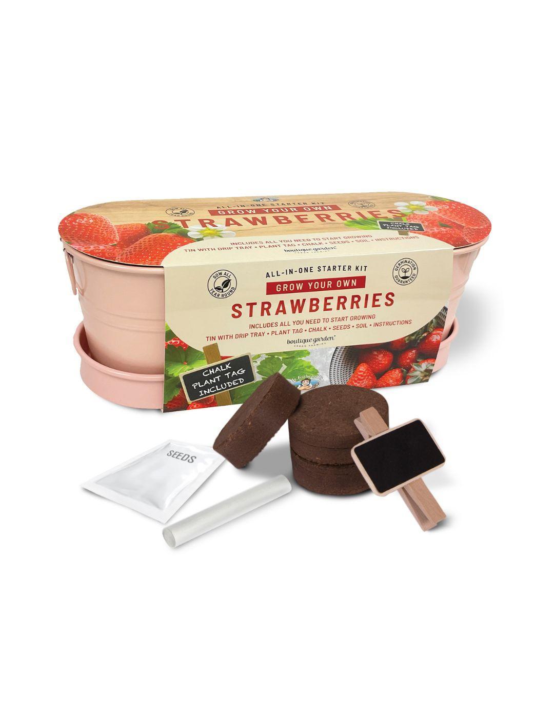 Strawberry - Windowsill Tin