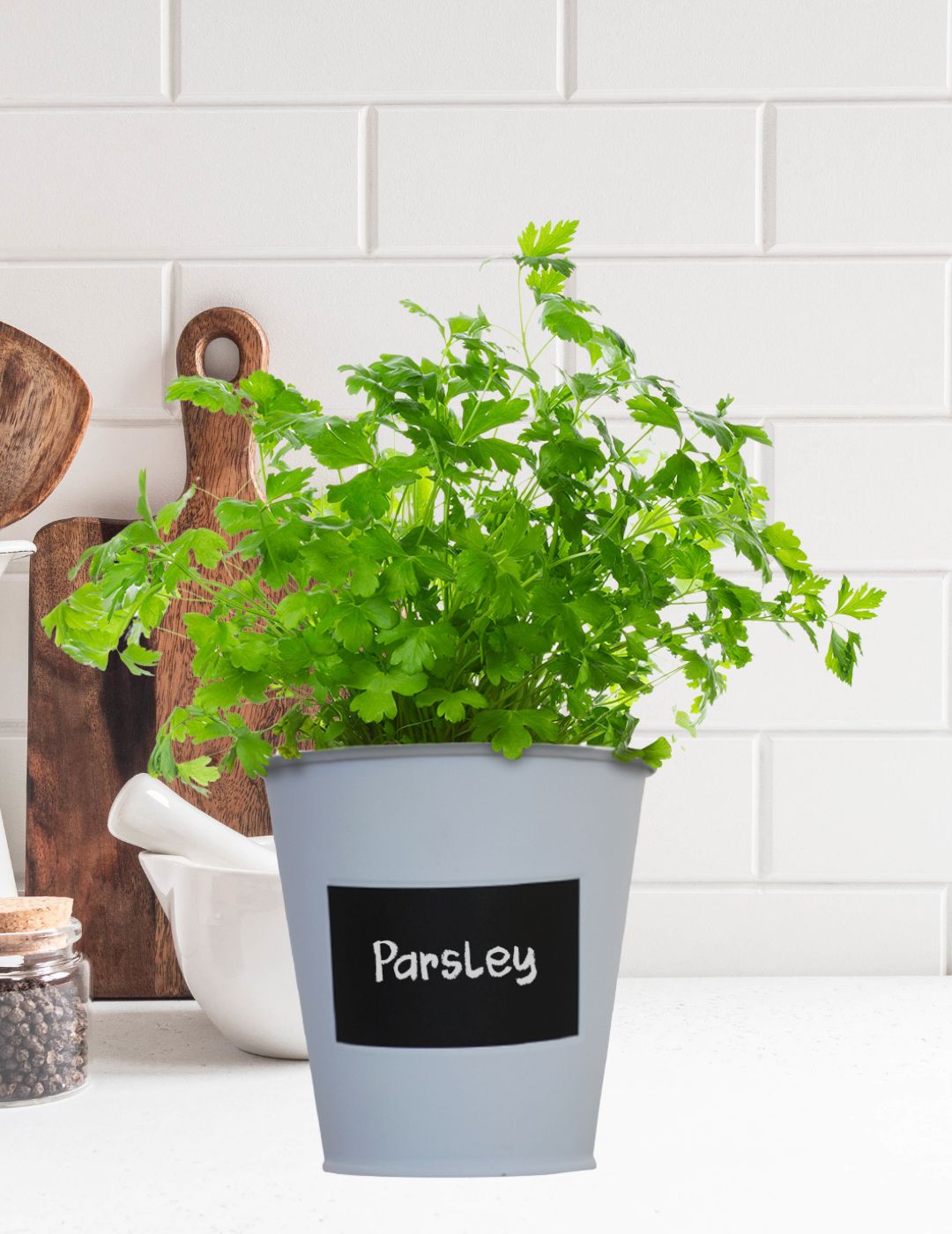 Parsley - Chalkboard Grow Kit Tin