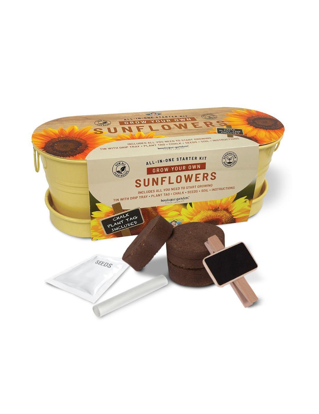 Sunflower - Windowsill Tin