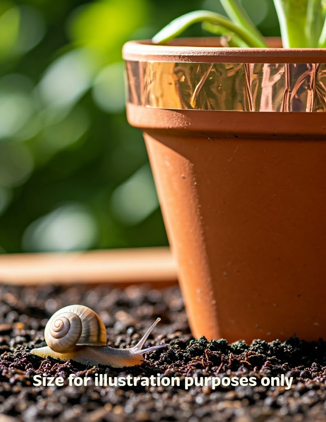 Snail & Slug Copper Tape