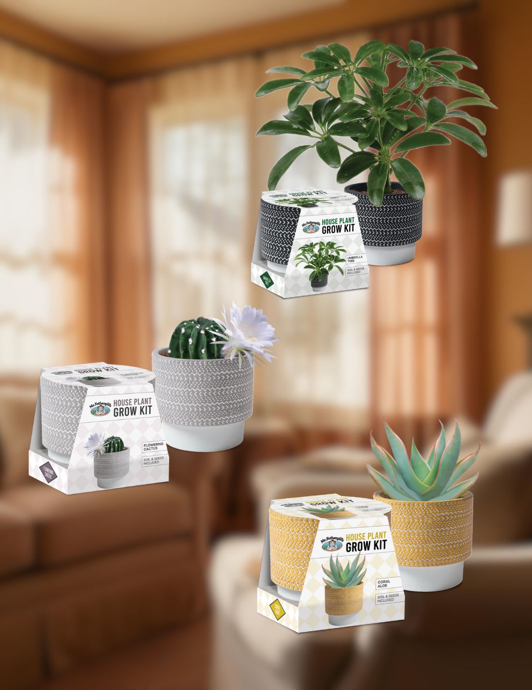 House Plant Grow Kit Bundle