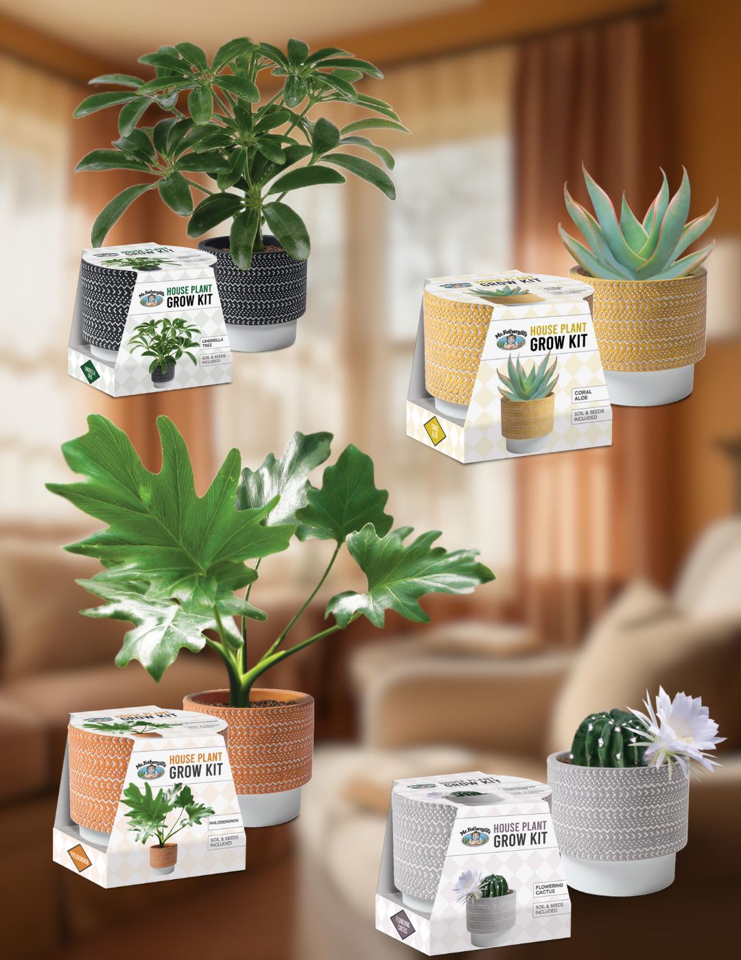 House Plant Grow Kit Bundle