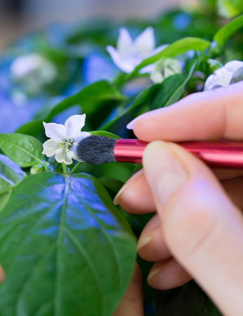 Véritable® Pollination Brush