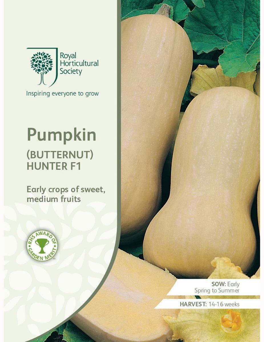 Pumpkin (Butternut) Hunter F1