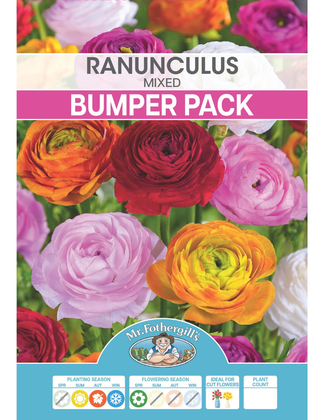 Ranunculus Mixed Bulbs (Bumper Pack)
