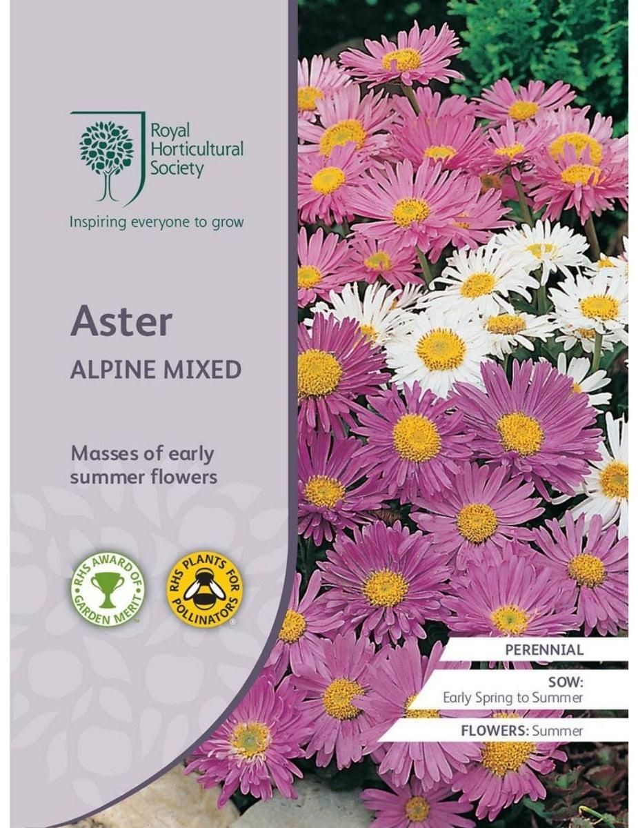Aster Alpine Mixed
