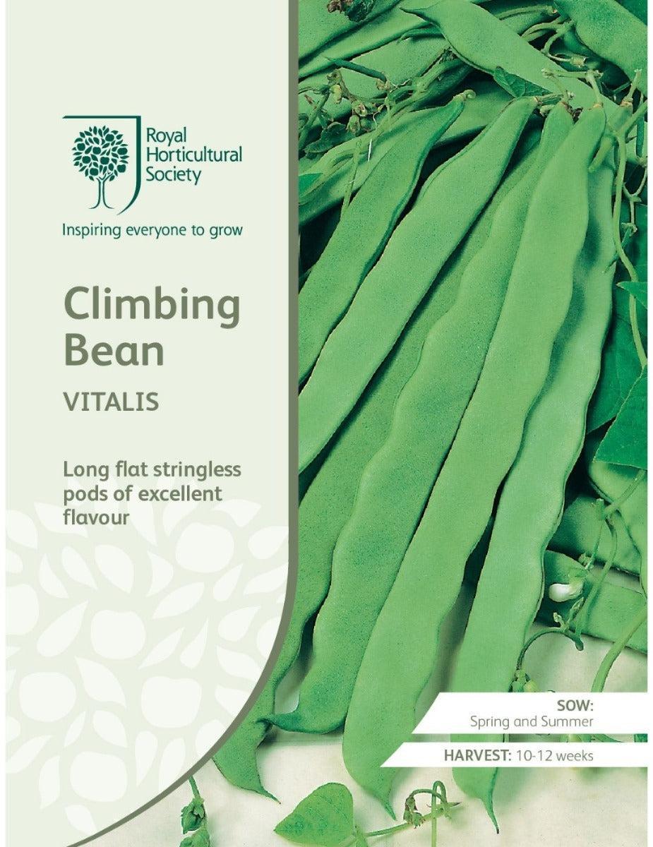 Bean Climbing Vitalis