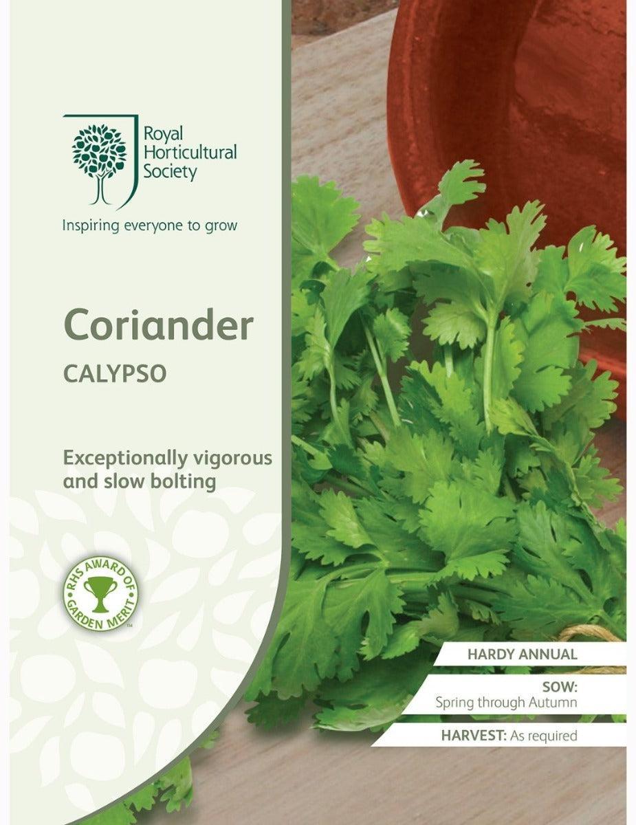 Coriander Calypso