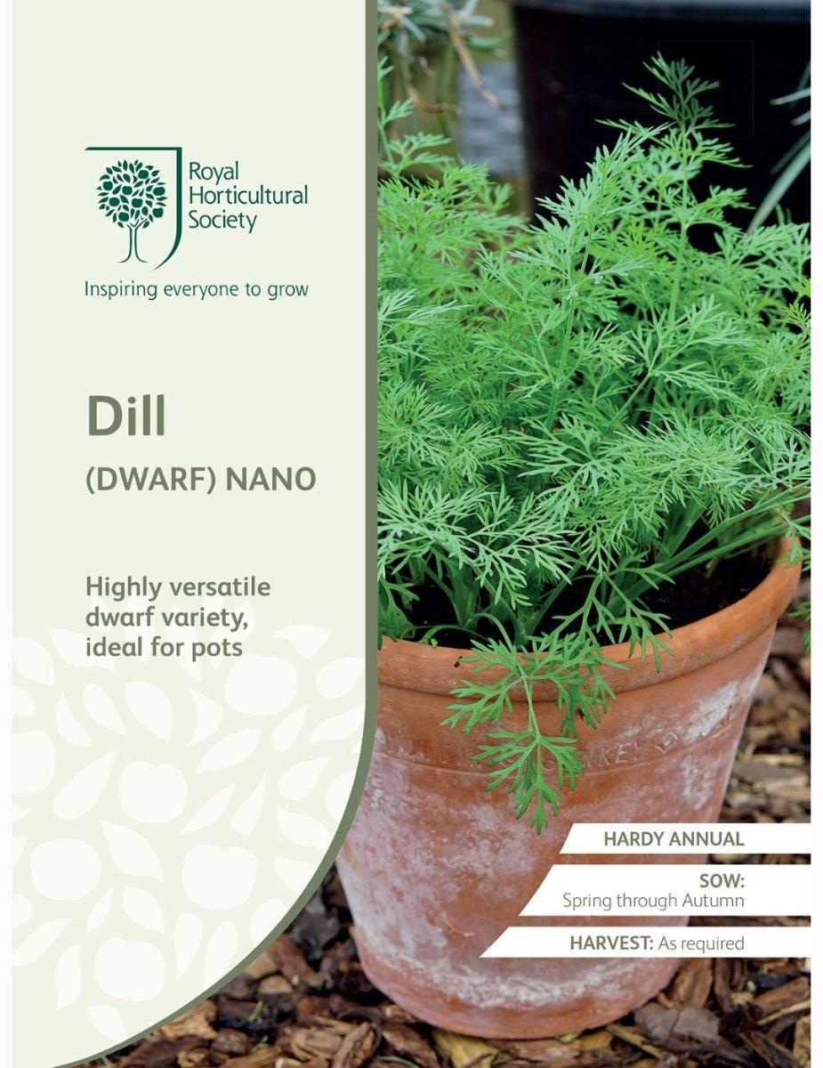 Dill Nano (Dwarf)