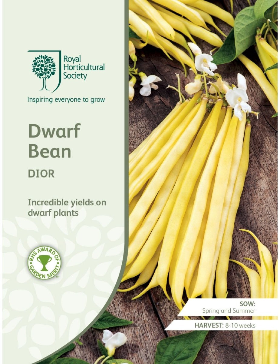 Dwarf Bean Dior