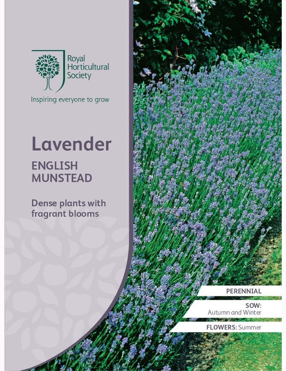 RHS English Munstead Lavender Seeds