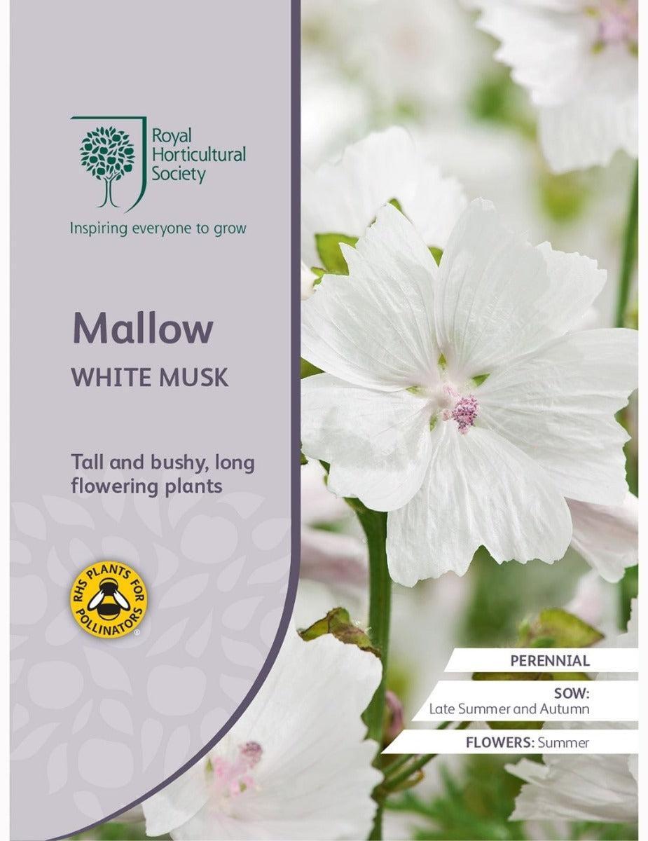 Mallow White Musk
