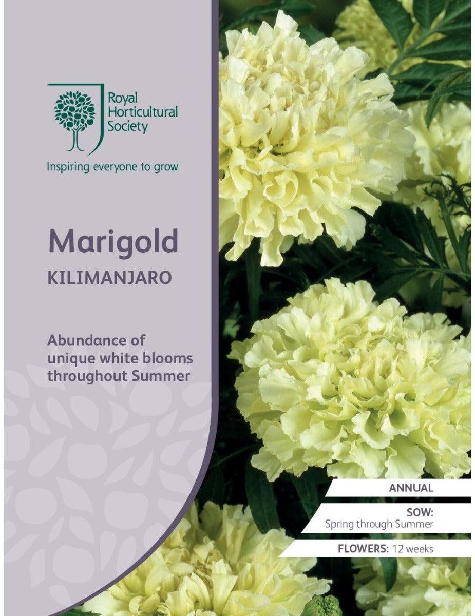 RHS Kilimanjaro Marigold Seeds