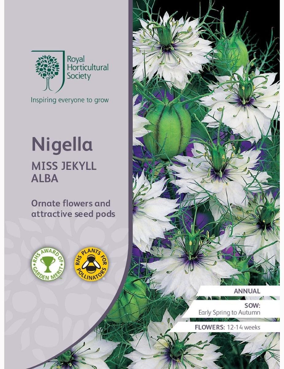 Nigella Miss Jekyll Alba