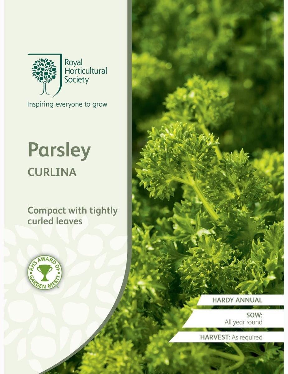 Parsley Curlina
