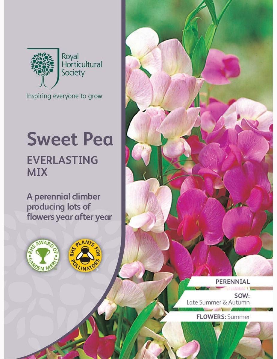 Sweet Pea Everlasting Mix