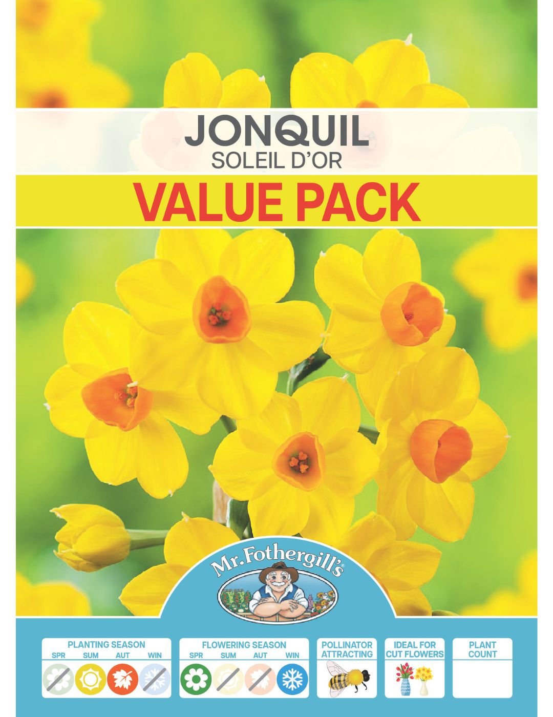 Jonquil Soleil d'Or Value Pack