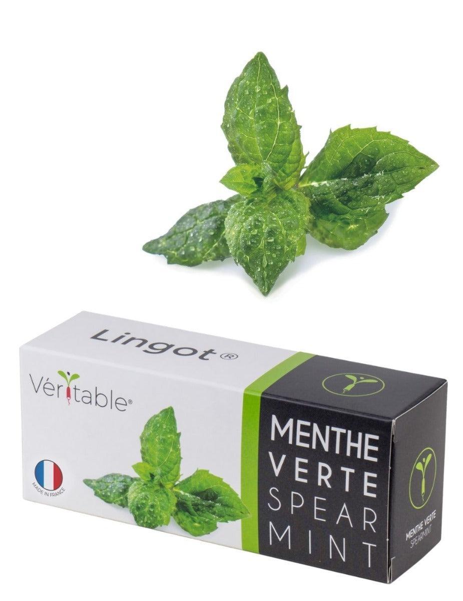 Véritable® Seed Lingot® - Mint Spearmint