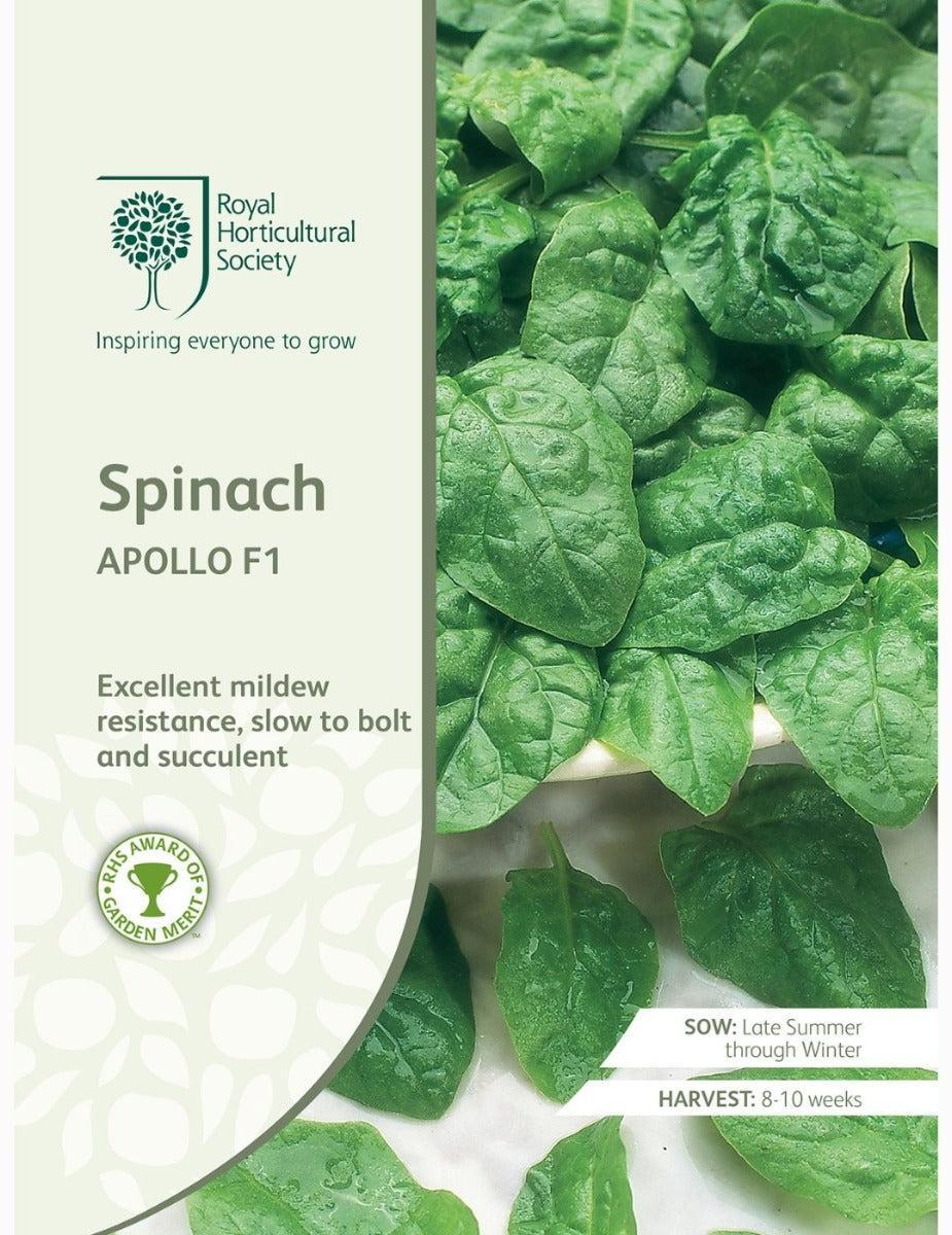 Spinach Apollo F1