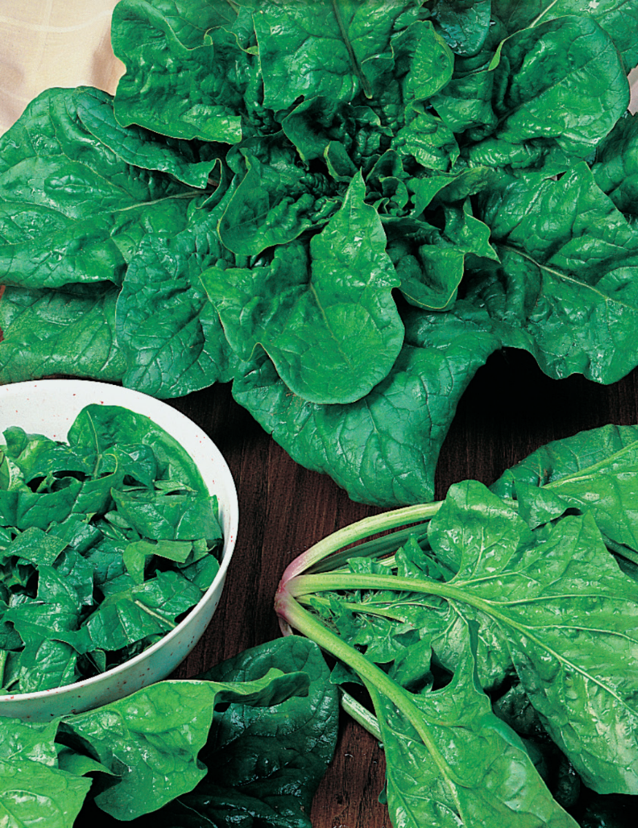 Spinach Matador