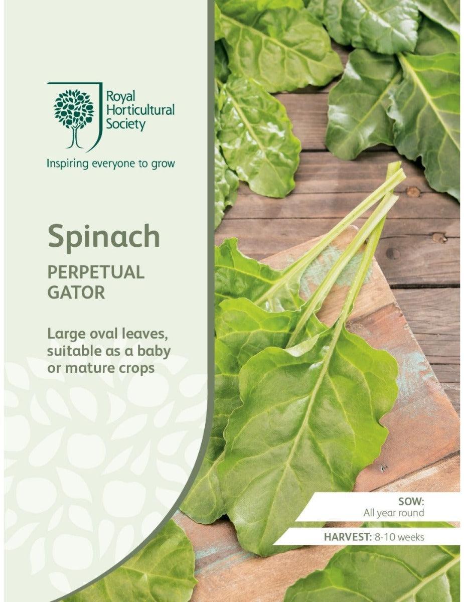 Perpetual Gator Spinach Seeds