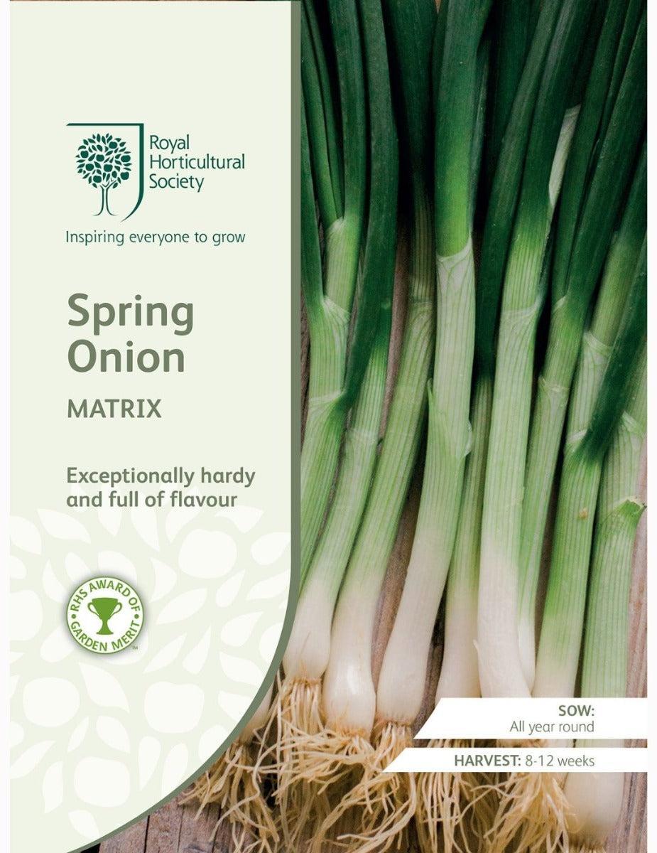 Matrix Spring Onion Seeds