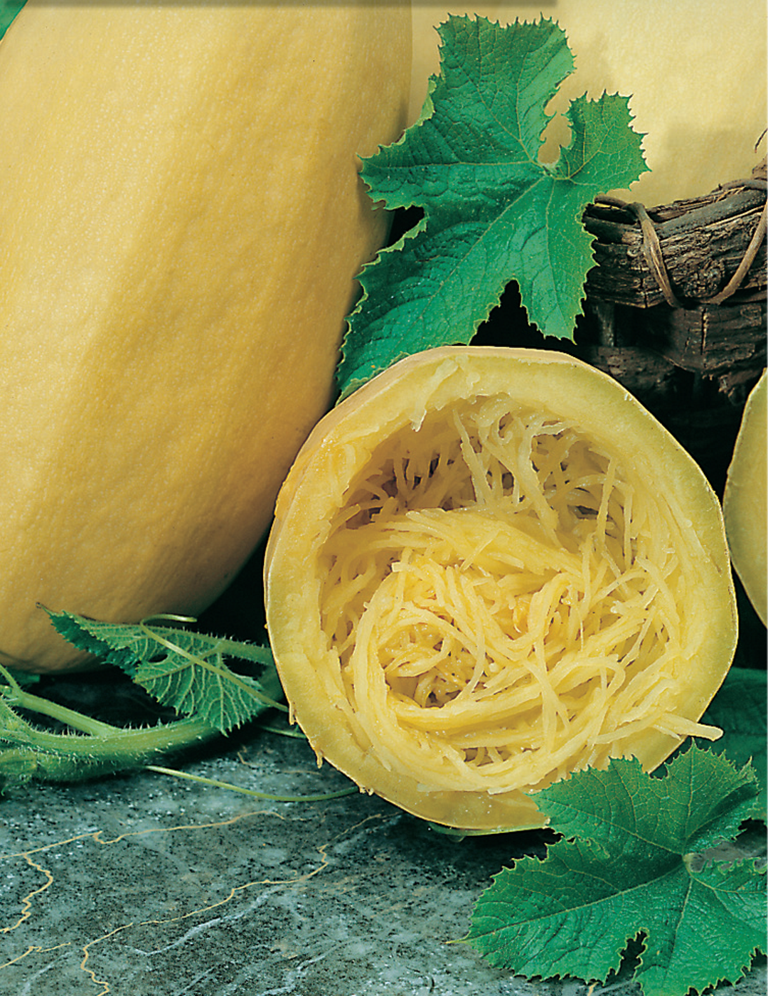 Squash Vegetable Spaghetti