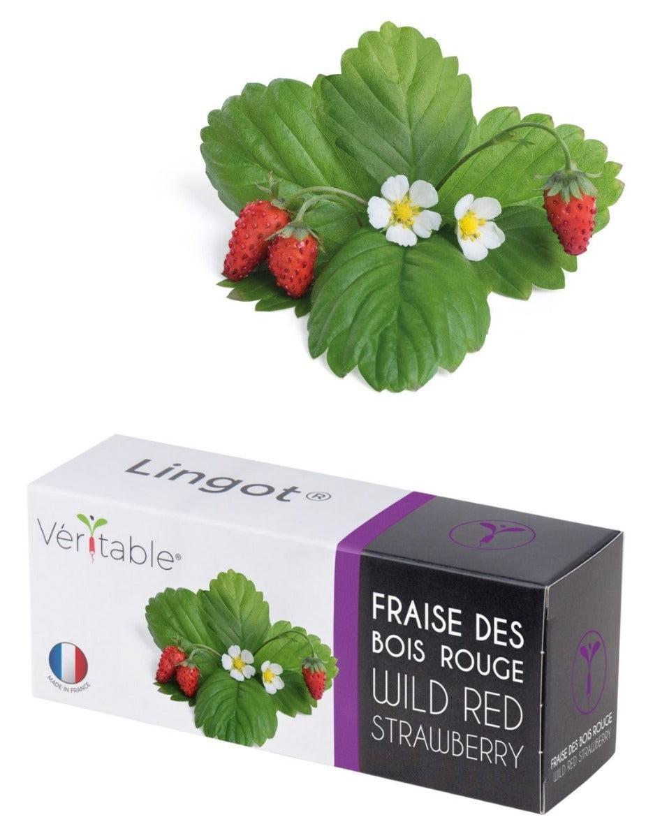 Véritable® Seed Lingot® - Strawberry Wild Red