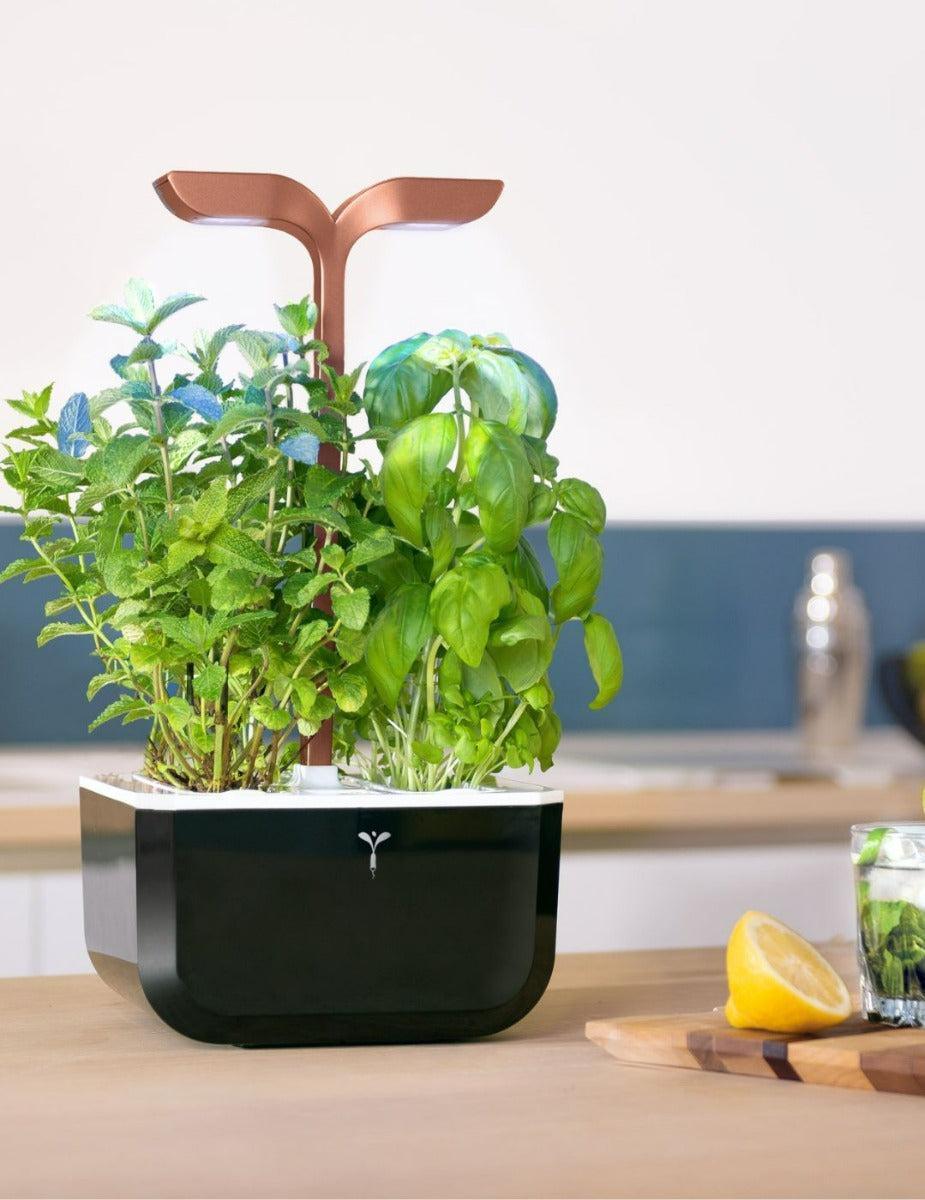 Véritable® EXKY Copper Indoor Garden - SMART