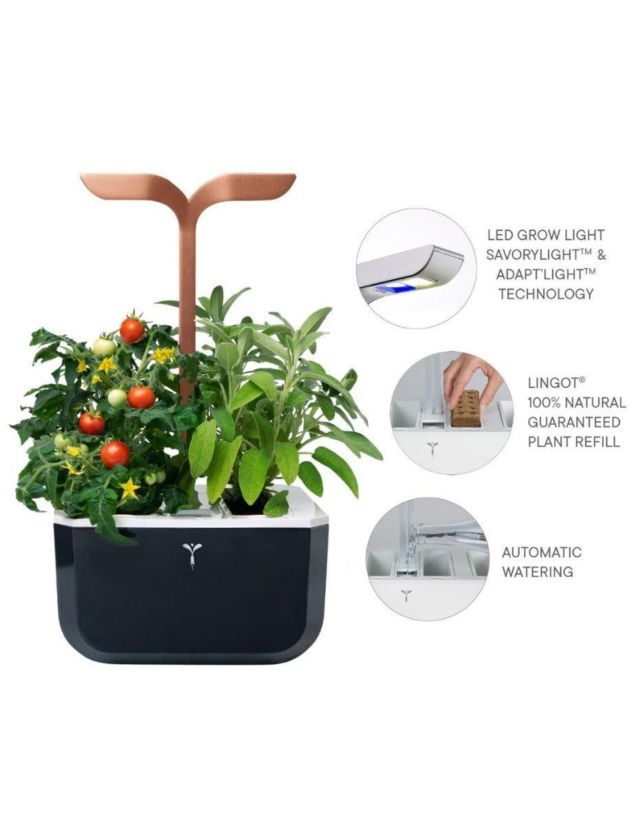 Véritable® EXKY Copper Indoor Garden - SMART