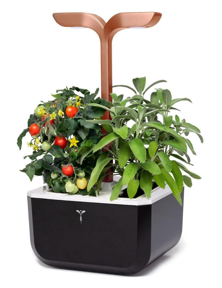 Véritable® EXKY Copper Indoor Garden - SMART