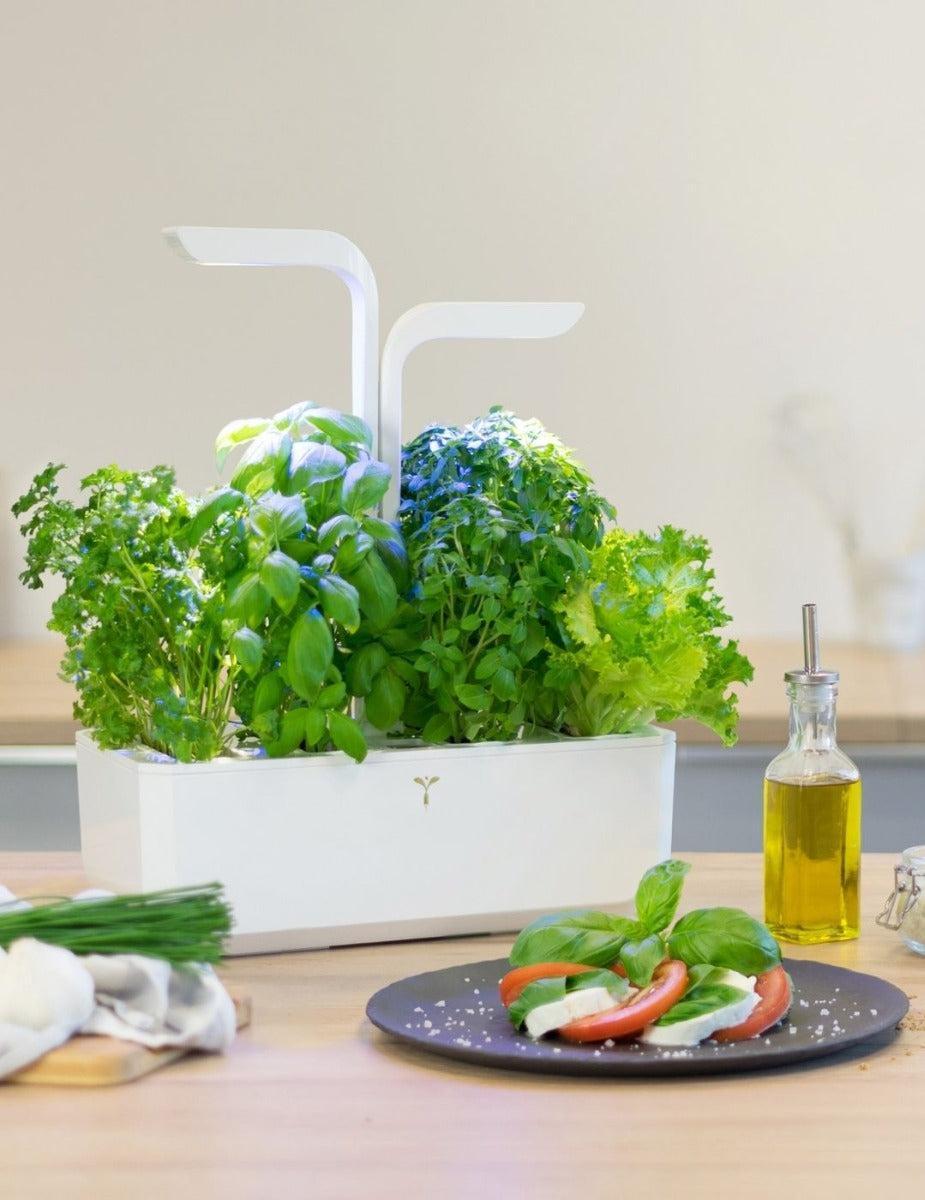 Véritable® Indoor Garden - CLASSIC