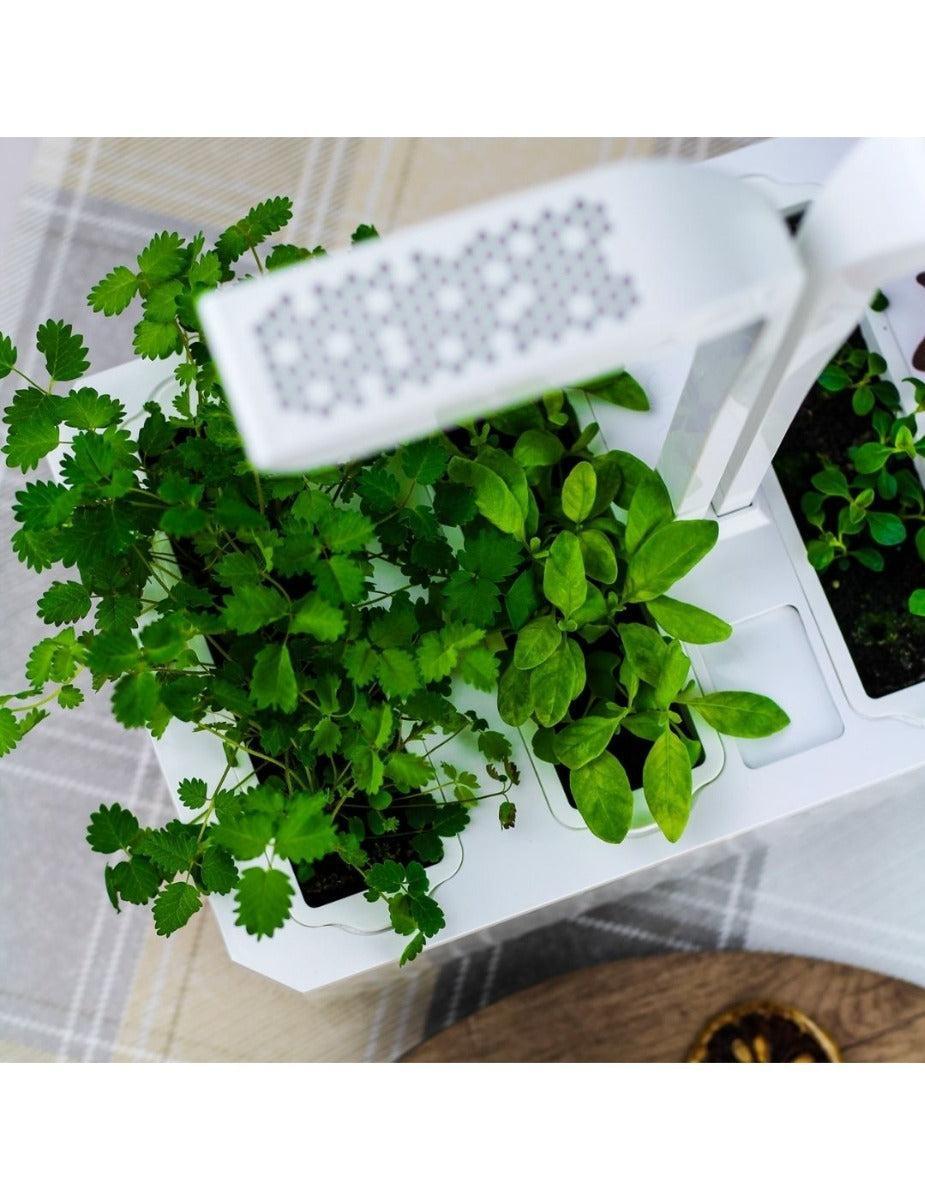 Véritable® Indoor Garden - CLASSIC